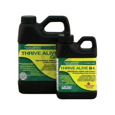 Alive Alive B1 Green Garage