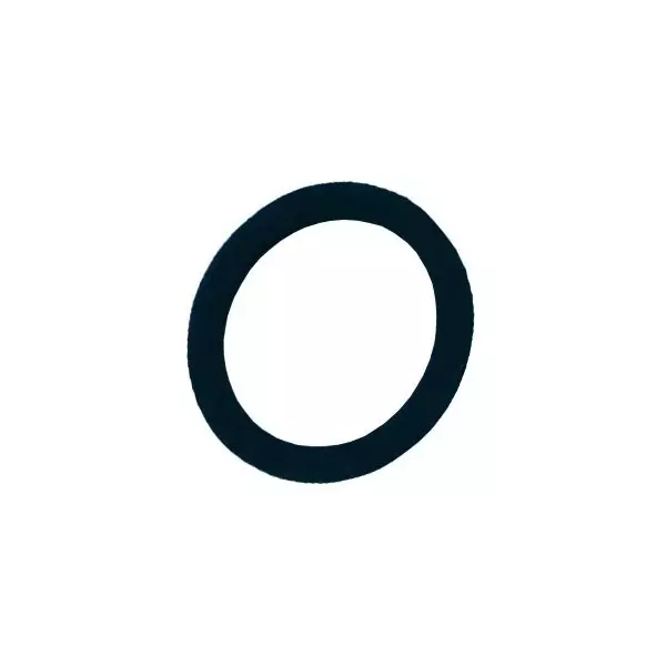 BHO Roller Extractor - seal