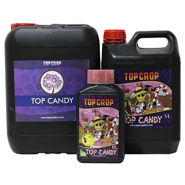  Top Candy 