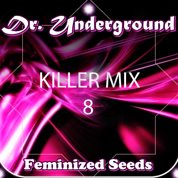 Killer Mix 8 cannabis plant
