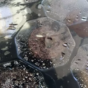 Plugin Pro Xtract dentro da bandeja