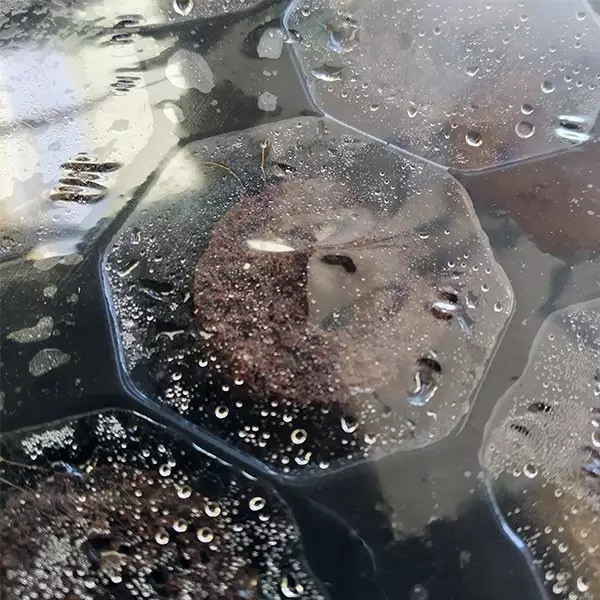 Plugin Pro Xtract dentro da bandeja