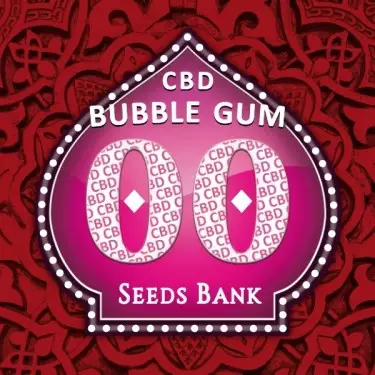 Bubble Gum CBD logo