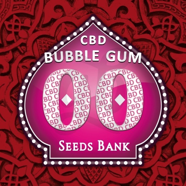  Bubble Gum CBD 