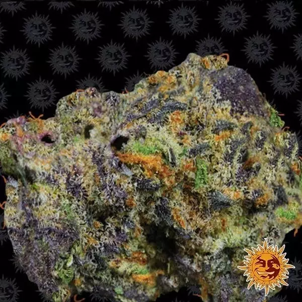 View Runtz Muffin - semillas