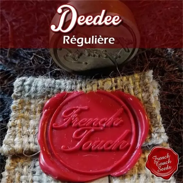 View Planta de marihuana