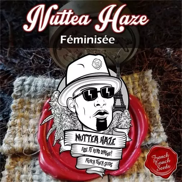 View Planta de marihuana