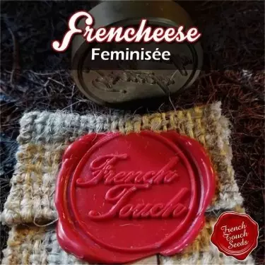 Frencheese Cannabis Seeds