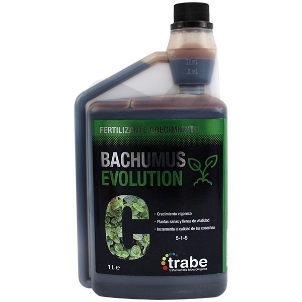  Bachumus Evolution C (growth) 