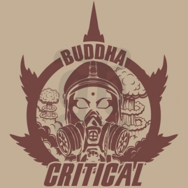 Buddha Critical