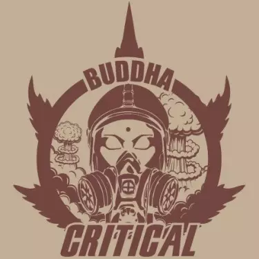 Buda Critical Feminized de Buddha Seeds - GB The Green Brand