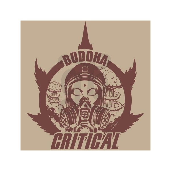 Buddha Critical
