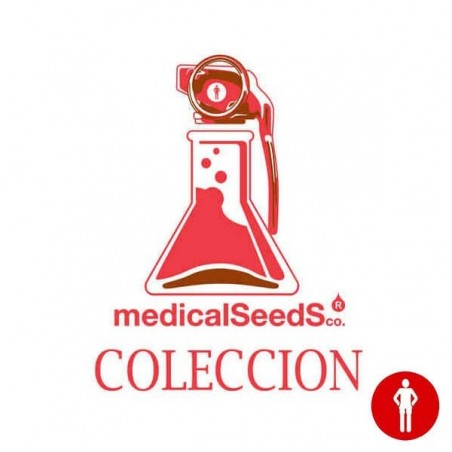 Colección 4 de Medical Seeds feminizadas - Grow Barato