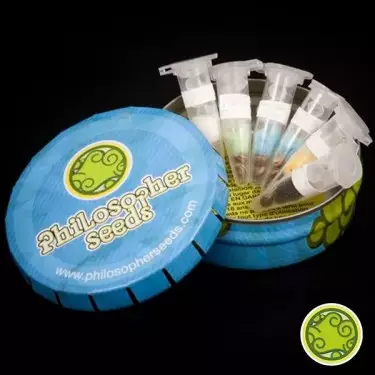 Outdoor Mix de Philosopher Seeds feminizadas - Grow Barato