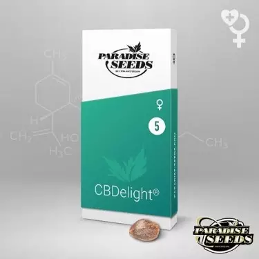 Cbdelight Paradise Sementes Feminizadas Sementes - GB The Green Brand
