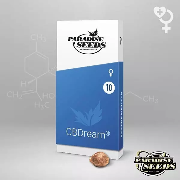 Cbdream Paradise Sementes Feminizadas Sementes - GB The Green Brand