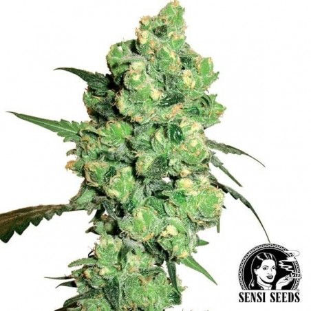 Super Skunk