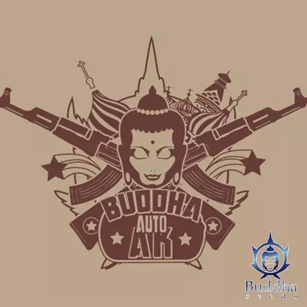 View Buddha Seeds Auto AK de Buddha Seeds - GB The Green Brand