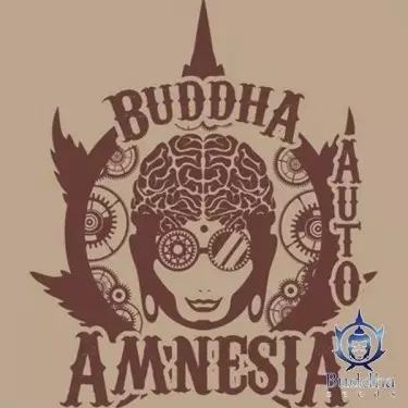 Buda Auto Amnésia de Buddha Seeds - GB The Green Brand