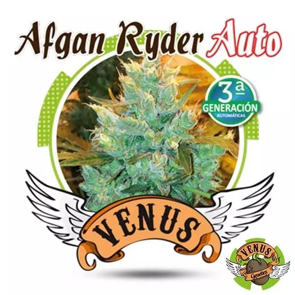 View Afgan Ryder Auto marijuana plant