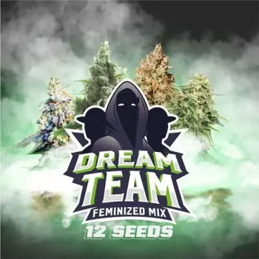 BSF Seeds Dream Team Mix Sementes - GB The Green Brand