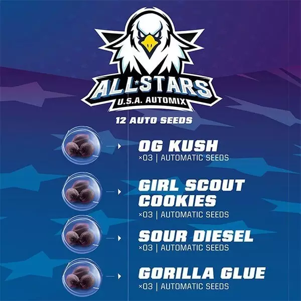 View BSF Seeds All Star OA Automix Sementes - GB The Green Brand