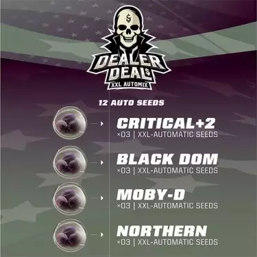 Dealer Deal XXL Automix Cannabis Strains