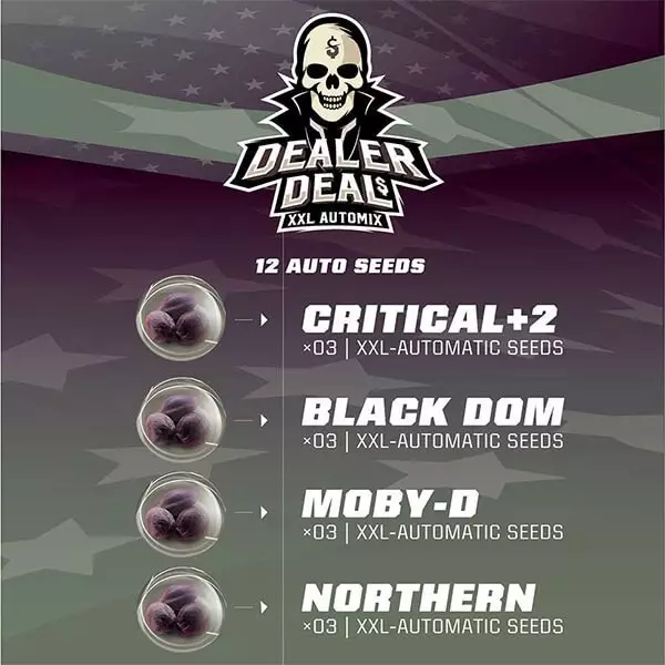 View Dealer Deal XXL Automix Cannabis Strains