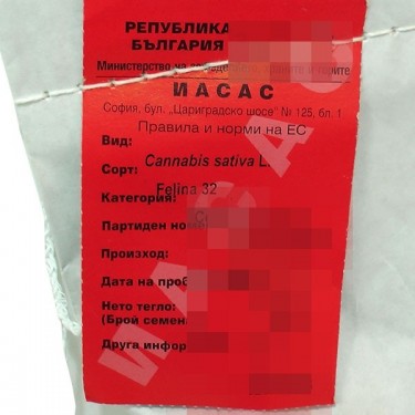 Felina 32 - Specifications