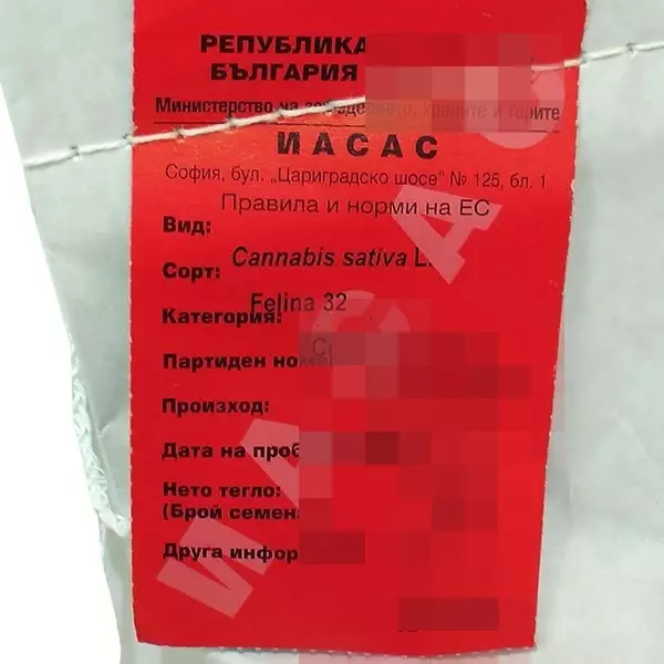 Felina 32 - Specifications