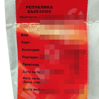 Santhica 70 características