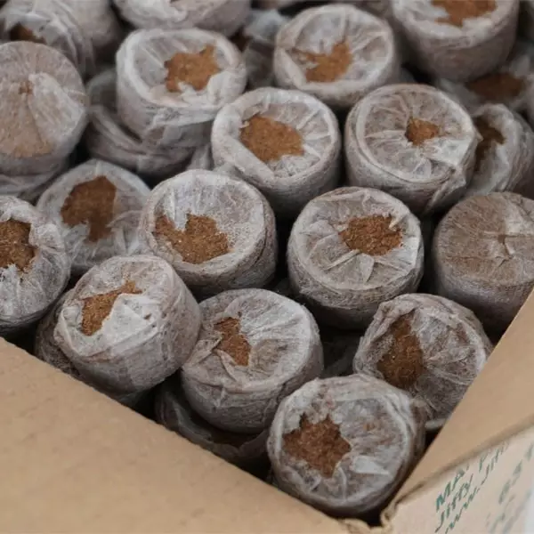 Jiffy 7 35 mm Coco Coir Plug box