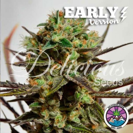 Delicious Candy Early Version - Growbarato