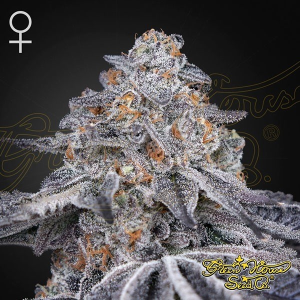 View Comprar Velvet Moon Green House Seeds - GB