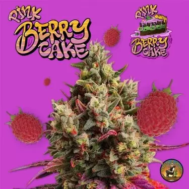 Pink Berry Cake de Terreta of Growers - GB The Green Brand