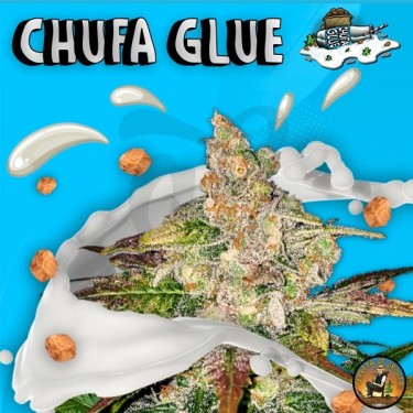 Chufa Glue