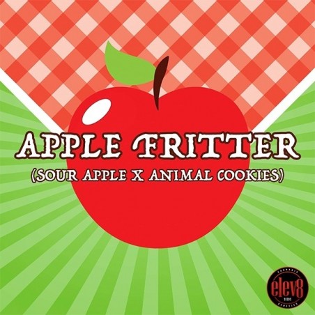 Apple Fritter semillas de Elev8 Seeds  - GB The Green Brand
