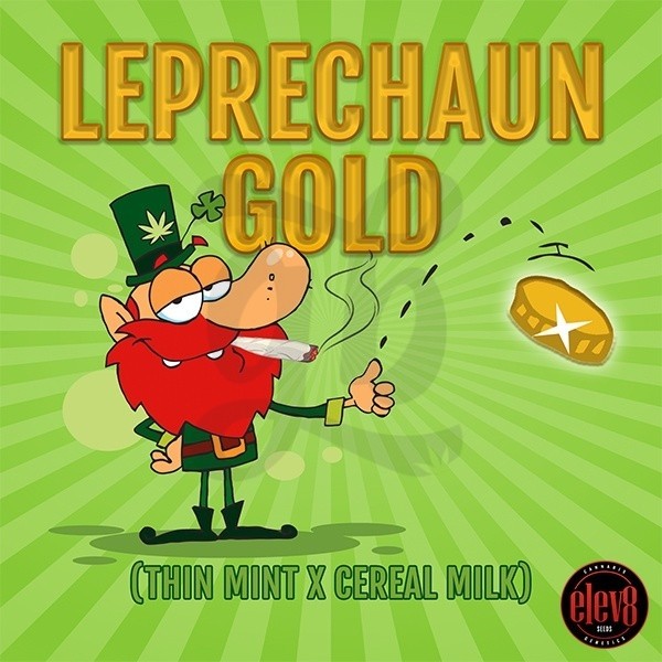 Leprechaun Gold d'Elev8 Seeds