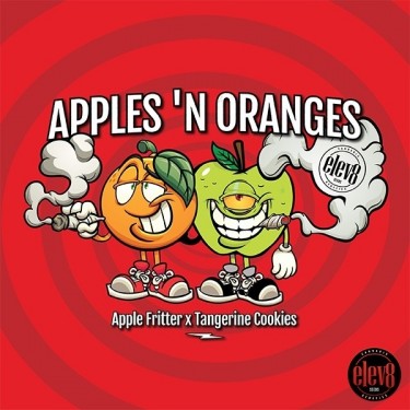 Apples ‘n Oranges de Elev8 Seeds  - GB The Green Brand