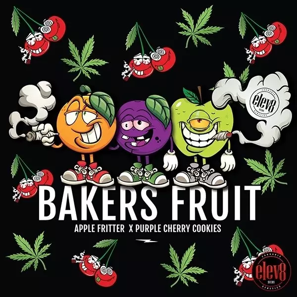 Bakers Fruit semillas de Elev8 Seeds - GB The Green Brand