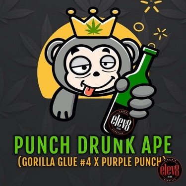 Punch Drunk Ape de Elev8 Seeds  - GB The Green Brand