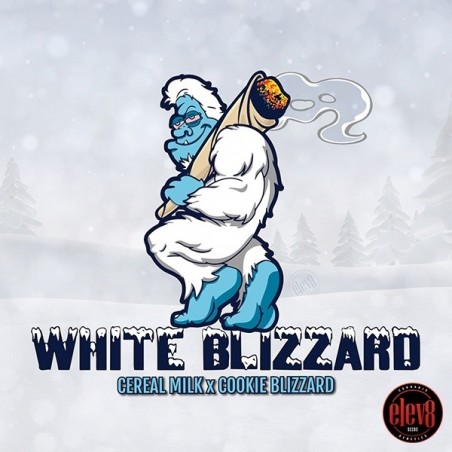 White Blizzard semillas de Elev8 Seeds  - GB The Green Brand