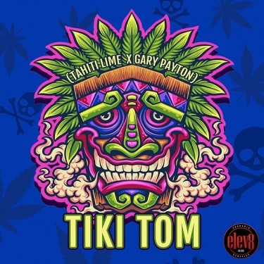 Tiki Tom semillas de Elev8 Seeds  - GB The Green Brand