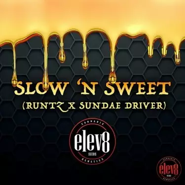 Slow’n Sweet semillas de Elev8 Seeds - GB The Green Brand