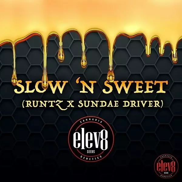 Slow’n Sweet semillas de Elev8 Seeds - GB The Green Brand