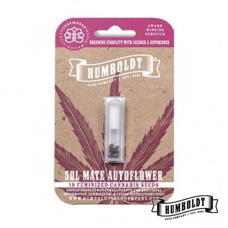 Sol Mate Auto de Humboldt Seeds - GB The Green Brand