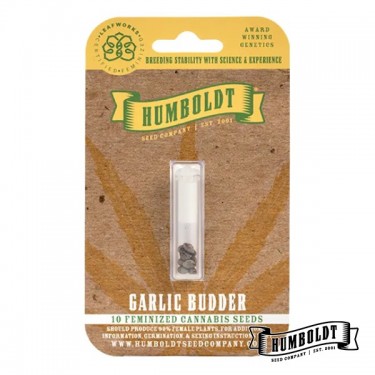 Garlic Budder Humboldt Seeds Company
