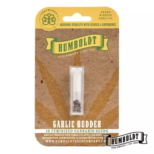 View Garlic Budder Humboldt Seeds Company