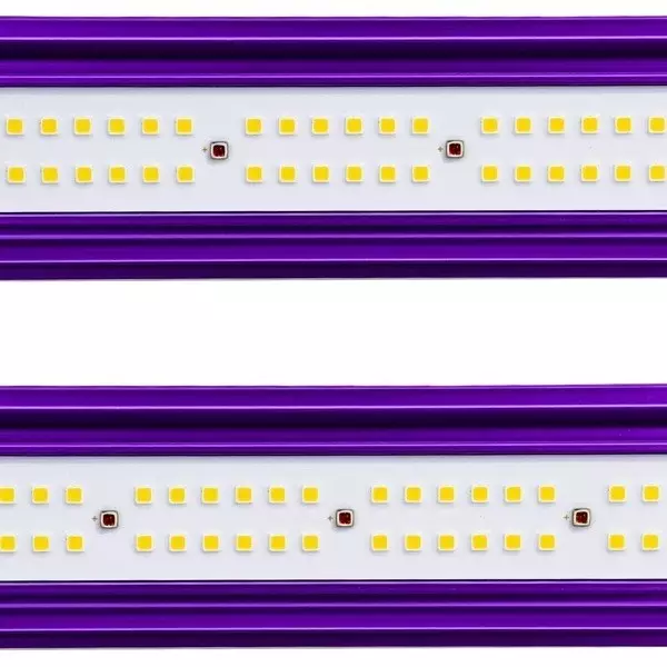 Sistema LED Zeus Lumatek Pro led
