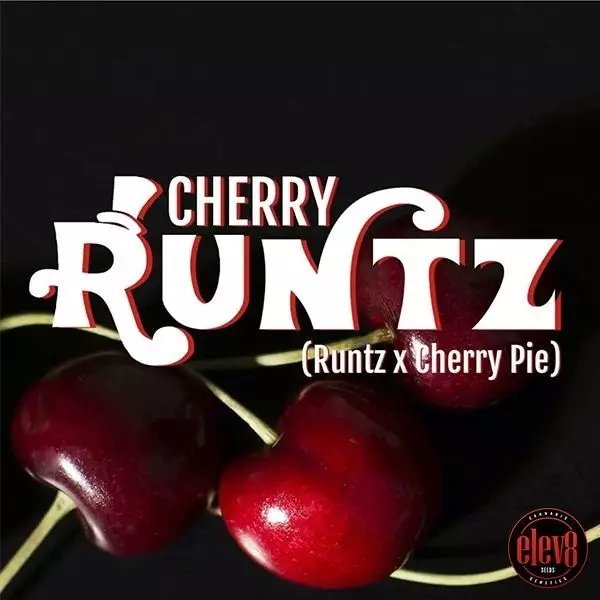 View Cherry Runts Elev8 Seeds camisa detrás